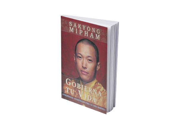 Libro Gobierna tu vida